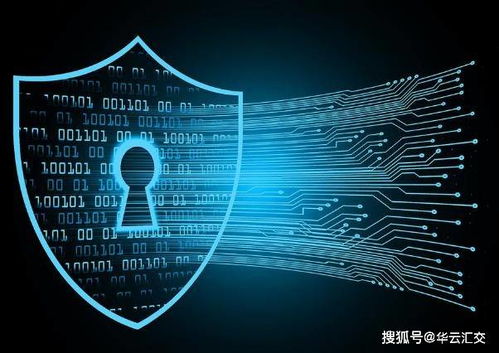 探秘區(qū)塊鏈加密技術(shù) 如何在應(yīng)用開發(fā)中構(gòu)筑用戶隱私與安全的堅(jiān)固防線